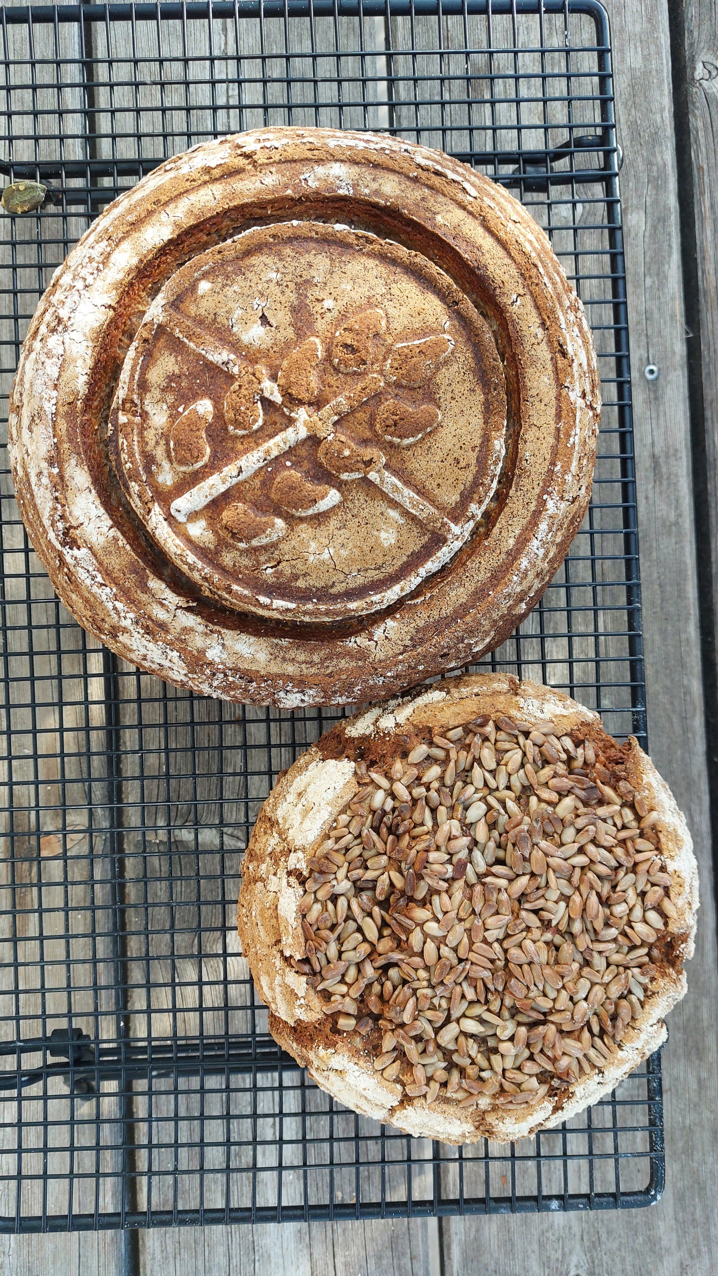Glutenfreier Backkurs Thema Sauerteig
