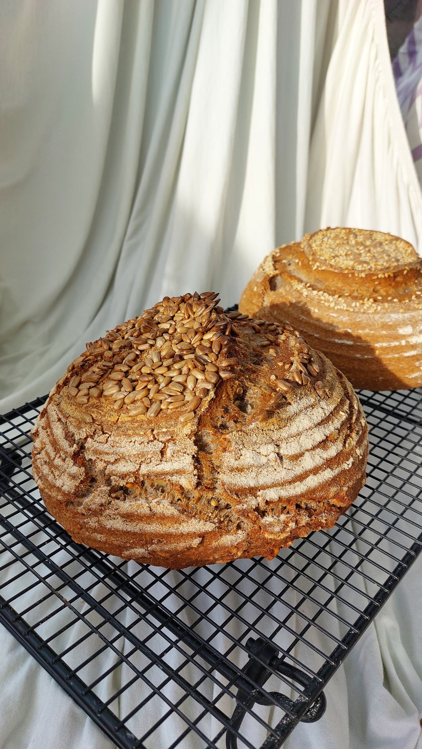 Glutenfreier Backkurs Thema Sauerteig